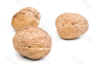 Big nuts Big nuts