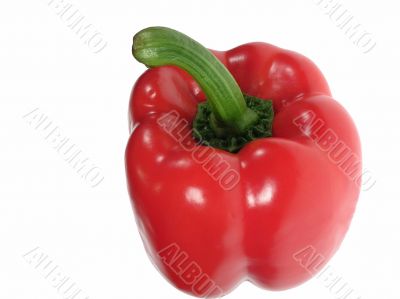 Red paprika Red paprika