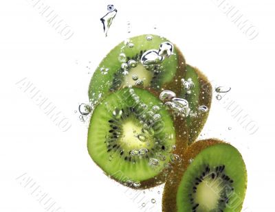 kiwi splashing kiwi splashing