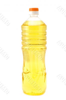 corn oil
