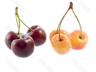 cherries cherries