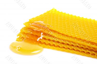 Honeycomb with honey