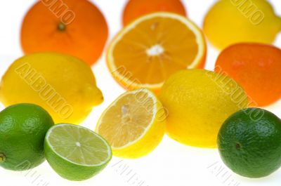 Citrus fruits Citrus fruits