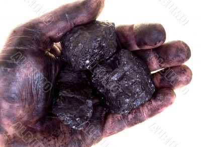 Pieces of coal in dirty palm