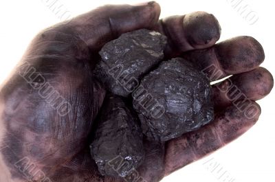 Pieces of coal in dirty palm