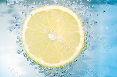 Lemon slice