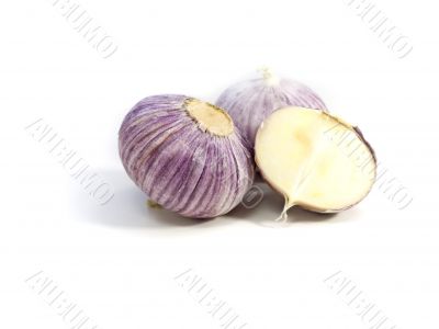 Purple Garlic Purple Garlic