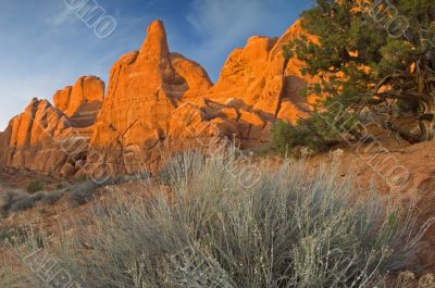 Landscape Arches National Park