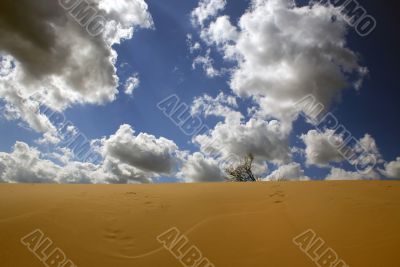 In dune