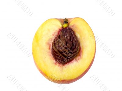 Slice of nectarine Slice of nectarine