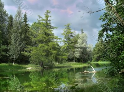 Reflections of the forest in the lake