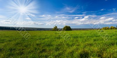 Beautiful summer landscape. The nature. Panorama