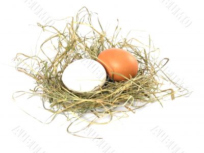 eggs eggs