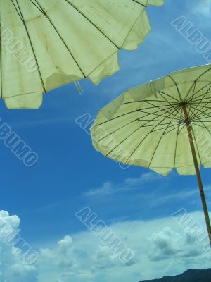Holiday Holiday
