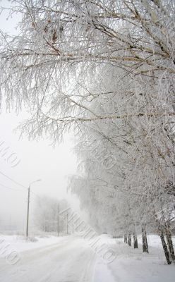 Winter city landscape . Winter city landscape .