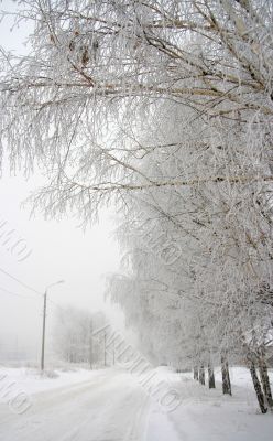 Winter city landscape .