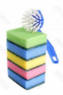Dish brush with sponges