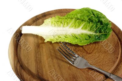 Leaf of salad