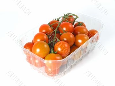 tomatoes tomatoes