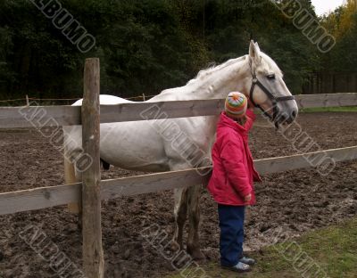 Horse and child