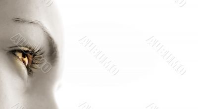 Women`s eye - looking forward.Isolated on white.