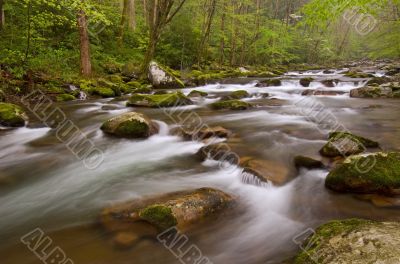 Spring Big Creek