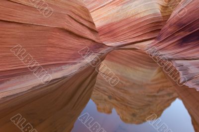 Rain Pool Coyote Buttes