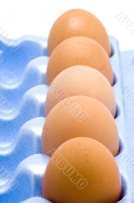 packing egg