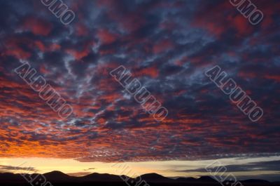 Arizona Sunset