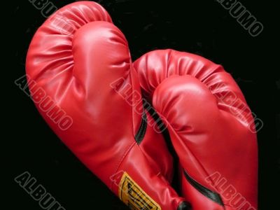 Boxing Equipment