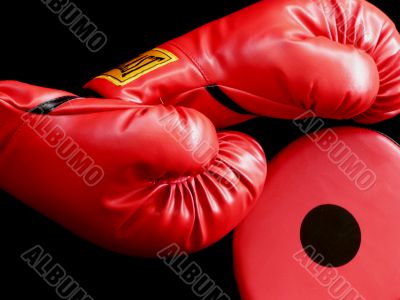 Boxing Equipment