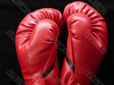 Boxing Gloves Close Up