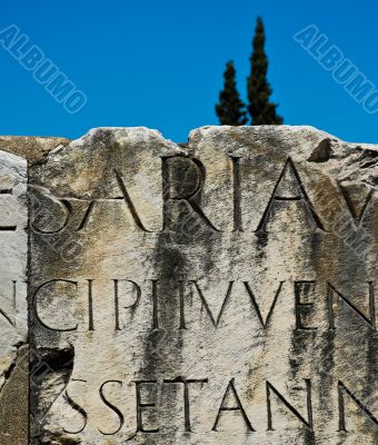 Roman Type, Foro Romano