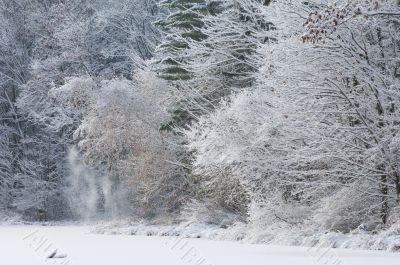 Winter Shoreline Hall Lake