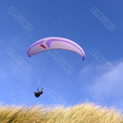 Purple paraglider