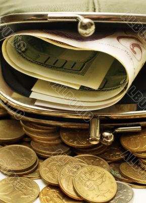 Purse with money