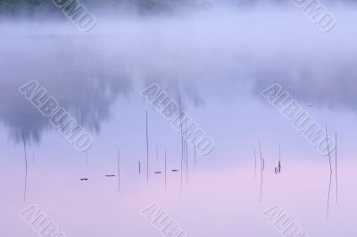 Reeds and Sunrise Reflections