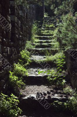 Old staircase