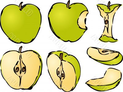 Apple illustration