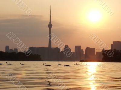 Sunset Lake view of downtown Toronto