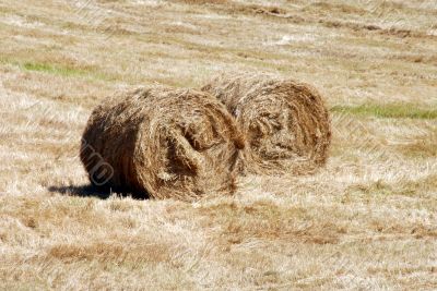 Fall Hay Bale