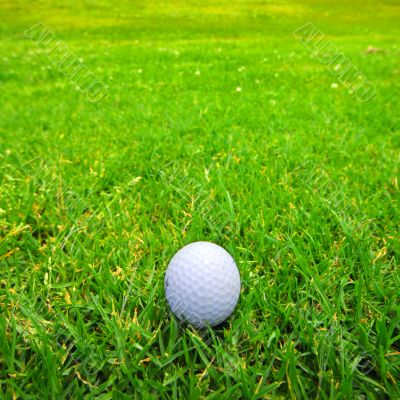 Golfball on fairway