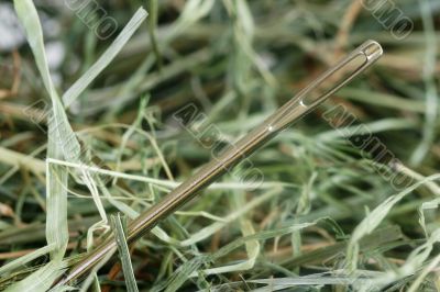 Needle in a haystack