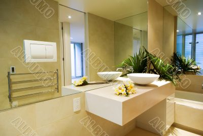 Designer bathroom