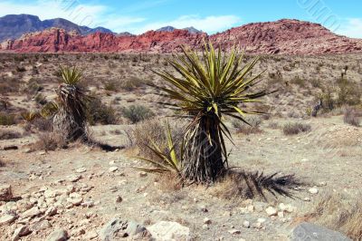 Red Rock Canyon