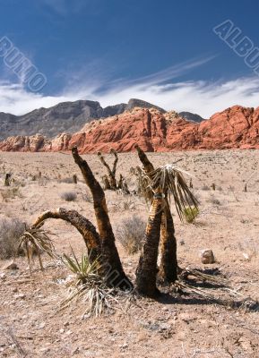 Red Rock Canyon