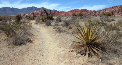 Red Rock Canyon