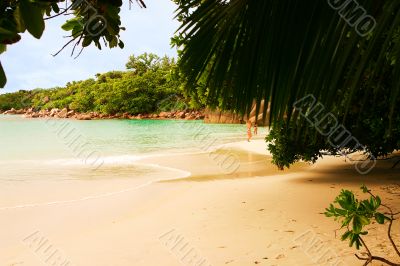 romantic sand beach in Indian Ocean (Seychelles)