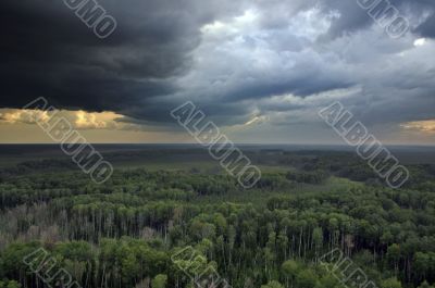 Clouds over forest.