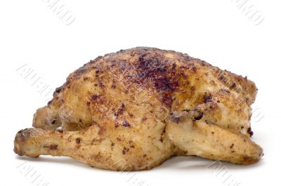 roasting chicken on white